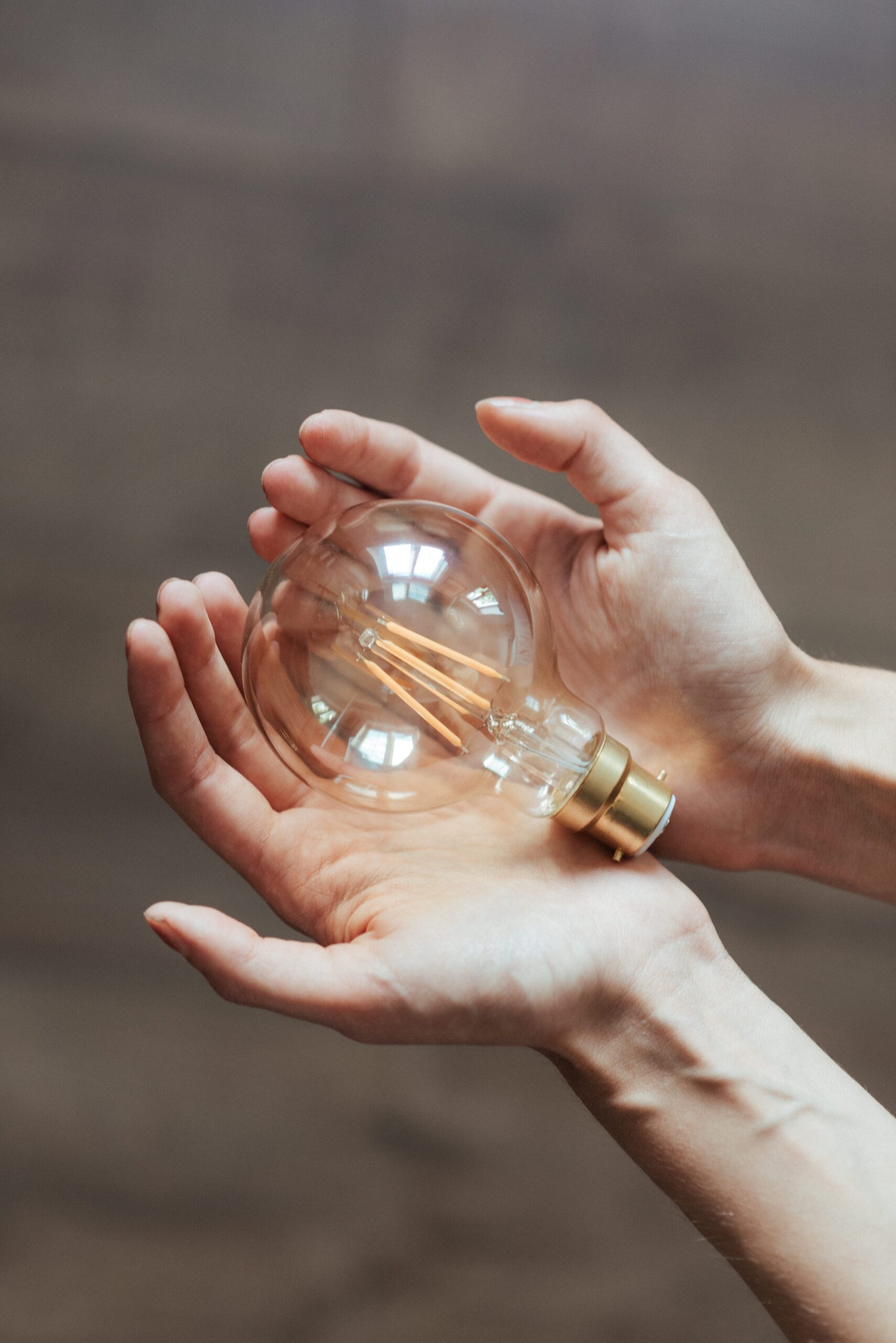 picture of hands holding a lightbulb